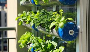 Model Kebun Mini di Balkon dengan Galon Bekas (AI)