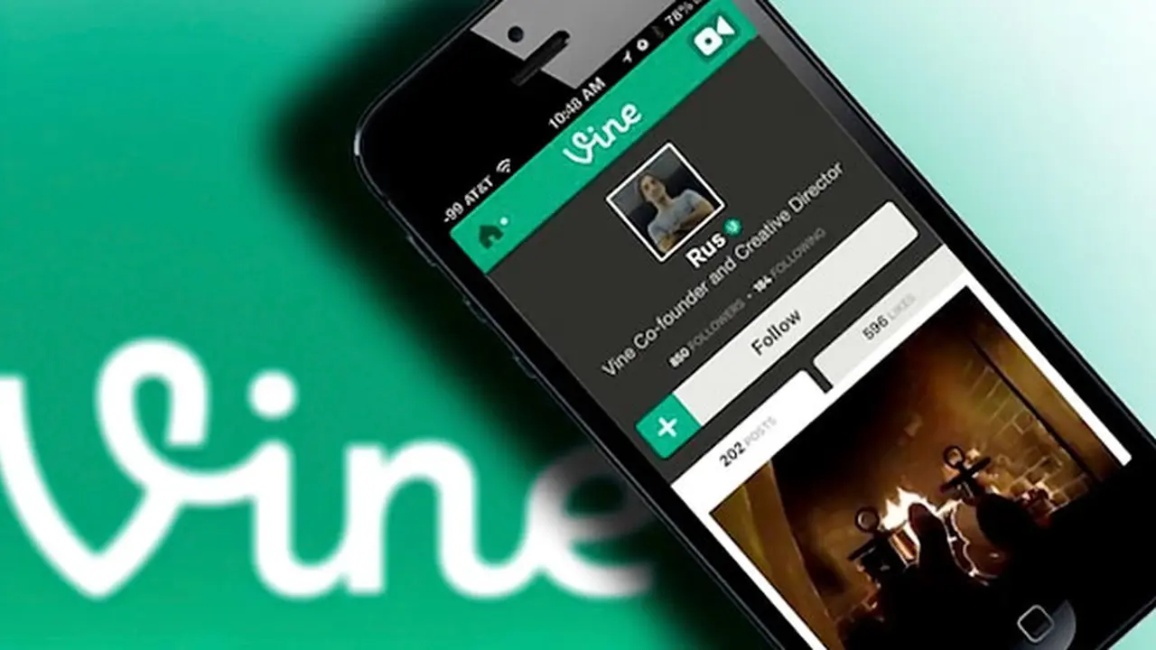 vine-131010b.jpg