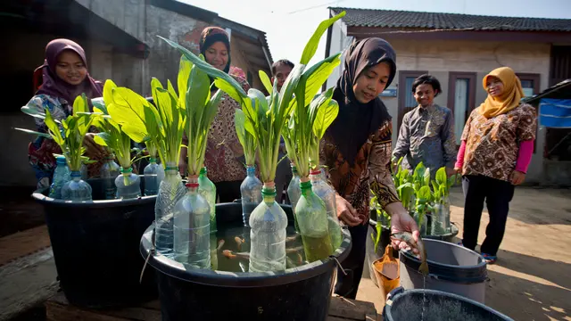 Ide Ternak Lele Ember untuk Ibu-Ibu PKK Modal Kecil (AI)