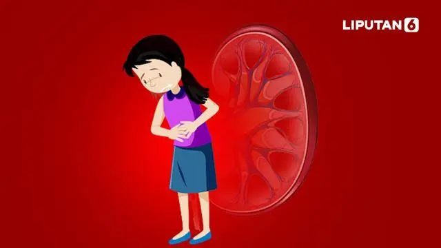 Ilustrasi gagal ginjal akut (Istimewa)