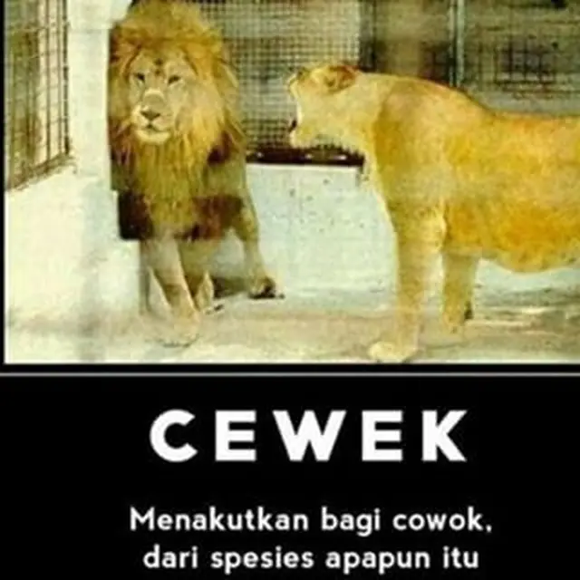 Enggak Jelas Maunya, Ini 7 Meme Cewek Kalau Lagi PMS yang Bikin Takut