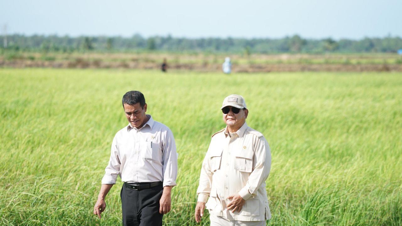 Indonesia Capai Swasembada Pangan Lagi di Era Prabowo