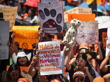 Anggota asosiasi hak-hak hewan ikut serta dalam demonstrasi menentang penyiksaan hewan di Mexico City pada tanggal 16 Maret 2024. (Rodrigo Oropeza/AFP)