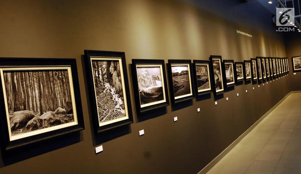 Deretan foto karya Suherry Arno yang bertema Melampaui Fotografi dipamerkan di Galeri Nasional, Jakarta, Selasa (24/10). Pameran foto tunggal karya Suherry Arno ini berlangsung hingga 5 November 2017. (Liputan6.com/Helmi Fithriansyah)