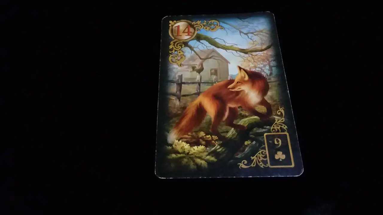 Tarot Hari Ini,Selasa, 12 Juni 2018 (Foto: Elisabet Kusumodewi)