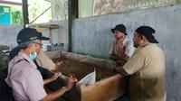 Proses Budidaya Magot di Bank Sampah DLH Banyuwangi (Hermawan Arifianto/Liputan6.com)