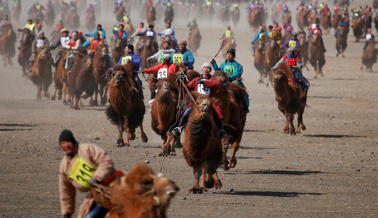 Peserta mengikuti lomba balap unta dalam Festival Unta "Temeenii bayar", di Dalanzadgad, Umnugobi aimag, Mongolia, (7/3/2016). (Reuters/B. Rentsendorj)