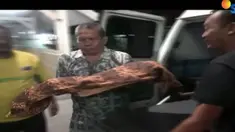 Dalam pemeriksaan sementara tim medis, balita Gio tewas karena luka parah dibagian kepala dan dada.