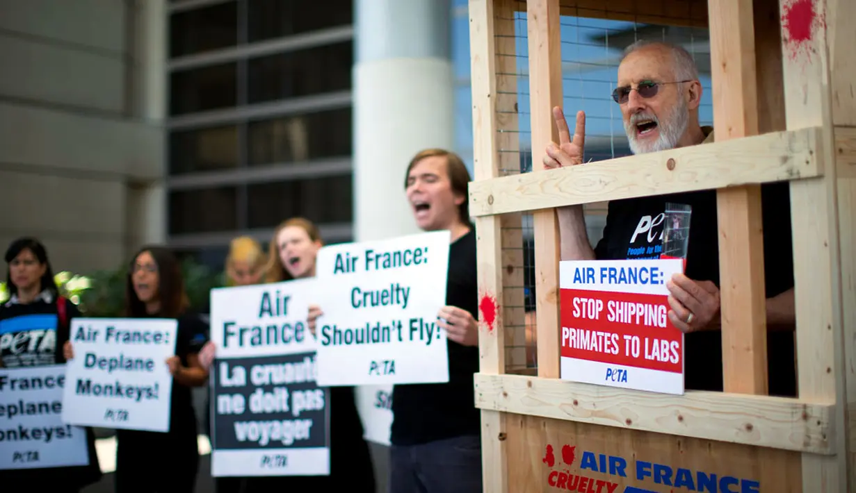 Berada di dalam kurungan, aktor senior AS, James Cromwell terus meneriakkan protes kepada maskapai Air France untuk segera menghentikan pengiriman monyet untuk kepentingan laboratorium, (28/4/2014). (REUTERS/Mario Anzuoni)