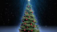 Pohon natal sesunggunnya terbuat dari pohon cemara. Tapi tahukah Anda, kenapa pohon cemara yang dipilih sebagai pohon Natal?
