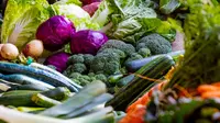 10 Ide Usaha Olahan Sayur Rumahan 2026, Modal Kecil tapi Dicari Banyak Orang
