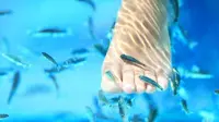 Efektifkah Fish Spa untuk Mengatasi Infeksi Jamur di Kaki?