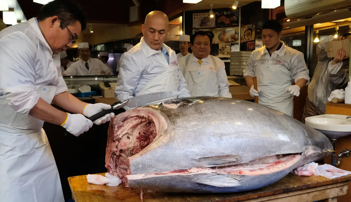 Pekerja restoran susi ternama Jepang memotong ikan tuna sirip biru seberat 278 kg di restoran mereka, Tokyo, Sabtu (5/1). Ikan tuna raksasa itu telah memecahkan rekor penjualan tertinggi, dengan dibeli seharga $ 3,1 juta (Rp43,4 miliar). (Kazuhiro NOGI/AF
