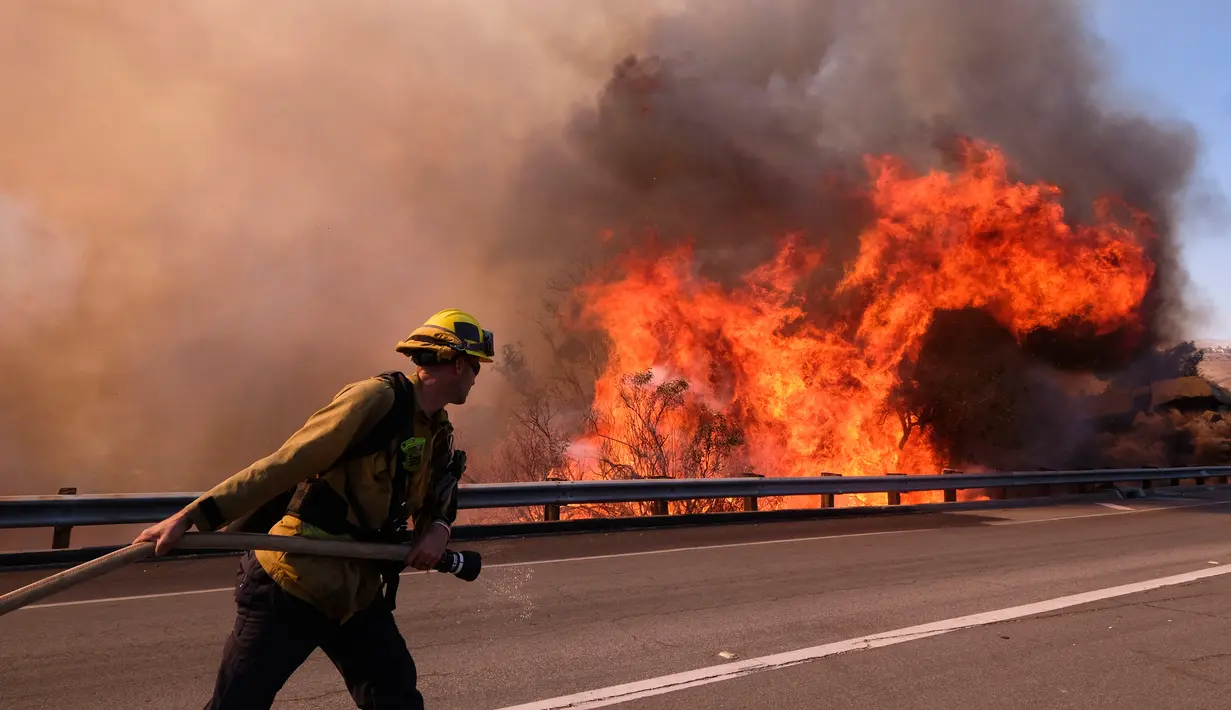 Petugas pemadam kebakaran menarik selang untuk memadamkan api di sepanjang Ronald Reagan (118) Jalan Bebas Hambatan di Simi Valley, Californnia (12/11). pi Woolsey pertama kali dilaporkan terdeteksi dekat Thousand Oaks. (AP Photo/Ringo H.W. Chiu)