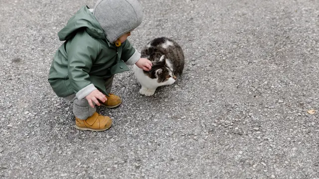 Bulu kucing yang terkena air liur bisa berbahaya