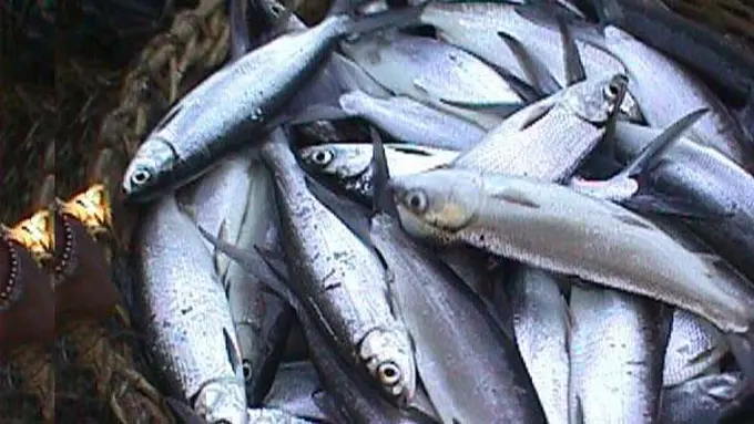 (C) produknaturalnusantara.com