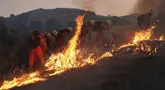 Personel dari tim pemadam berusaha memadamkan kebakaran yang disebut sebagai Canyon Fire pada Kamis 7 Agustus 2025 waktu setempat, di Halsey Canyon, California, Amerika Serikat. (AP Photo/Marcio Jose Sanchez)
