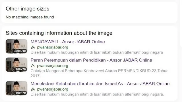 Gambar Tangkapan Layar Penelusuran Foto Menggunakan Situs Yandex.