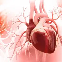 Gejala Serangan Jantung yang Tak Boleh Diabaikan. (Foto: qtxasset.com)