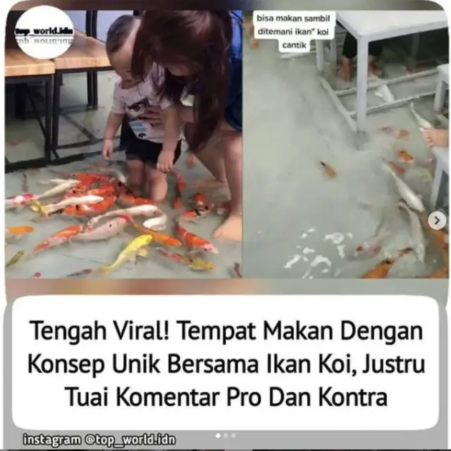 Uniknya Restoran Berkonsep Kolam Ikan Koi