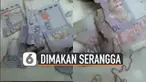 Kerusakan uang tersebut juga bermacam-macam ada yang bolong hingga sudah tinggal separo bentuk uang kertas tersebut.