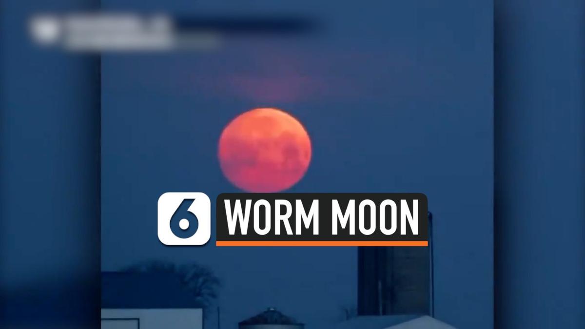 Purnama Worm Blood Moon Muncul Akhir Pekan Ini, Apakah Terlihat di Indonesia?