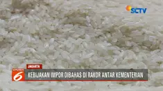 Mendag Enggartiasto Lukita bantah tudingan impor bahan pangan berlebihan.
