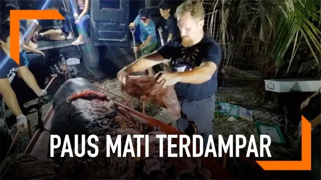 Seekor paus mati terdampar di pesisir pantai Filipina. Para aktivis menemukan sampah plastik sebanyak 40 kg di dalam perut paus tersebut.
