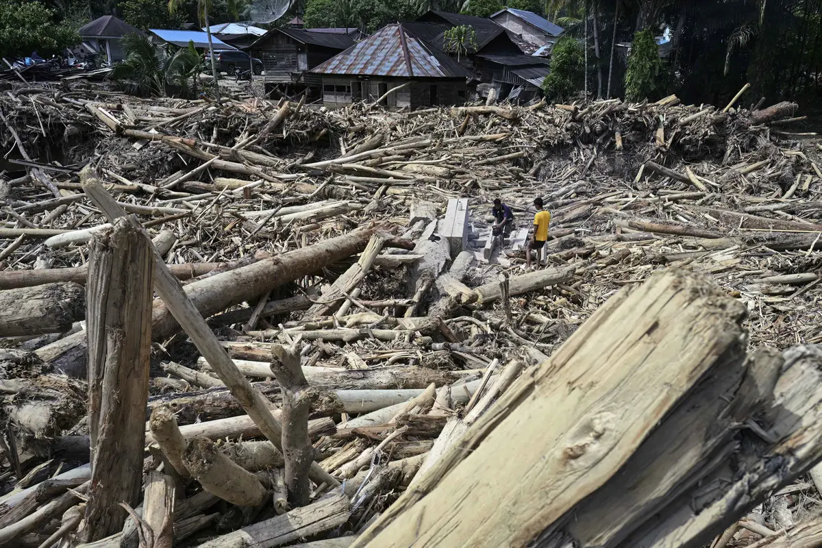 Banjir Bandang Sumatra: Kayu Gelondongan dan Lumpur Tutup Permukiman Warga di Garoga Sumatera Utara