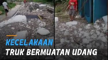 Terlihat truk dalam keadaan terbalik dan muatan udang berceceran di jalan.