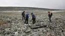 Arkelolog dan dua pemburu yang menemukan sebilah pedang milik bangsa Viking menelusuri sebuah gunung di Norwegia, 4 September 2017. Pedang dari bangsa Viking itu ditemukan pemburu rusa kutub, Einar Ambakk, saat berburu di antara bebatuan. (AP Photo)