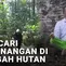 Mencari Ketenangan di Tengah Hutan