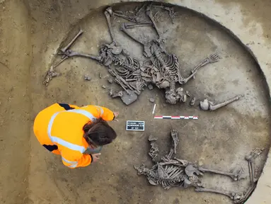 Tim peneliti mengamati tulang kerangka dari bekas sepuluh orang yang dimutilasi yang ditemukan oleh sekelompok arkeolog di Achenheim, Perancis, 7 Juni 2016. Kerangka tersebut diprediksi berusia 6.000 tahun. (Philippe Lefranc/INRAP/AFP)