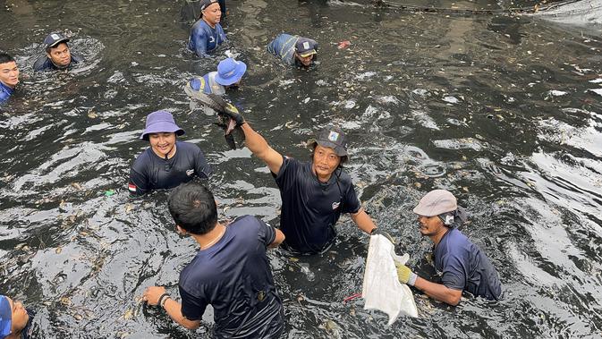 Operasi 'Perang' Ikan Sapu-sapu Dimulai, Tangkapan di Jakut Tembus 200 Kg