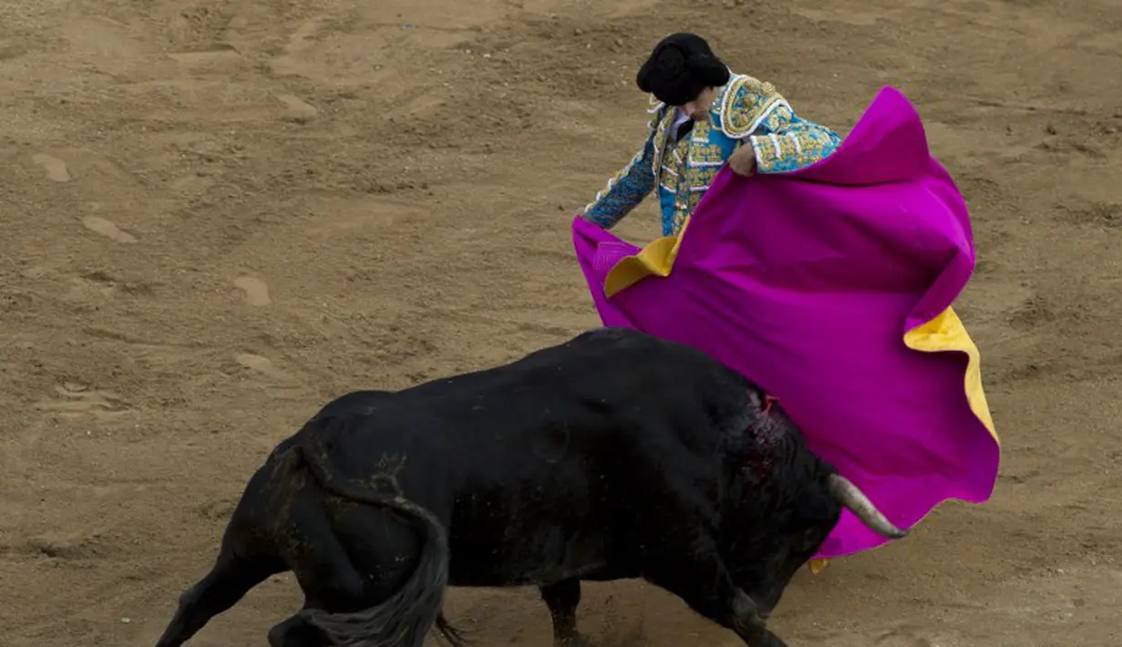 Matador asal Perancis, Sebastian Castella saat tampil di arena adu banteng Canaveralejo di Cali, Kolombia, Senin (29/12/2014). (AFP Photo/Luis Robayo)