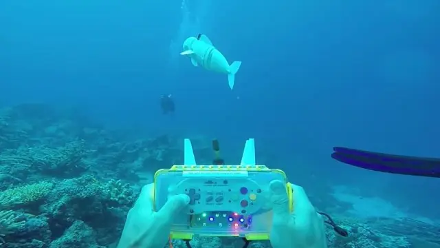 Robot Ikan Sofi