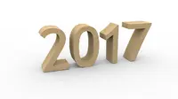 Resolusi karir 2017