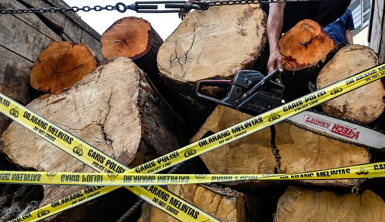 Polisi menyita gergaji mesin dari truk yang mengangkut kayu ilegal dari hutan lindung di Banda Aceh pada Rabu 27 Agustus 2025. (CHAIDEER MAHYUDDIN/AFP)