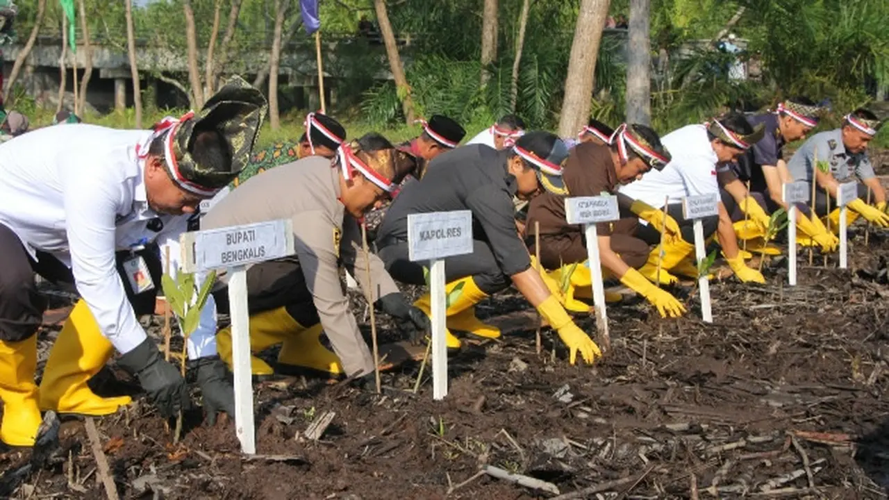Kapolres Bengkalis AKBP Setyo Bimo Anggoro menanam mangrove di daerah pesisir mencegah abrasi karena perubahan iklim.