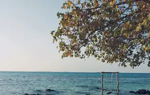 Heboh Pulau Menjangan Kecil Dijual Rp 500 Miliar, Ini Faktanya