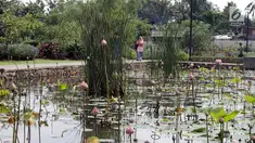 Warga berjalan-jalan di kawasan Taman Piknik, Jakarta, Minggu (20/1). Taman seluas 1 hektar di Jalan Manunggal II, Cipinang Melayu, Jakarta Timur ini menjadi salah satu taman baru milik Pemprov DKI Jakarta untuk warga. (Liputan6.com/Helmi Fithriansyah)
