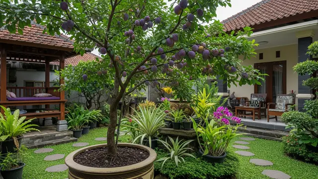 14 Pohon Buah yang Tidak Mudah Diserang Ulat Daun, Pilihan untuk Kebun Organik