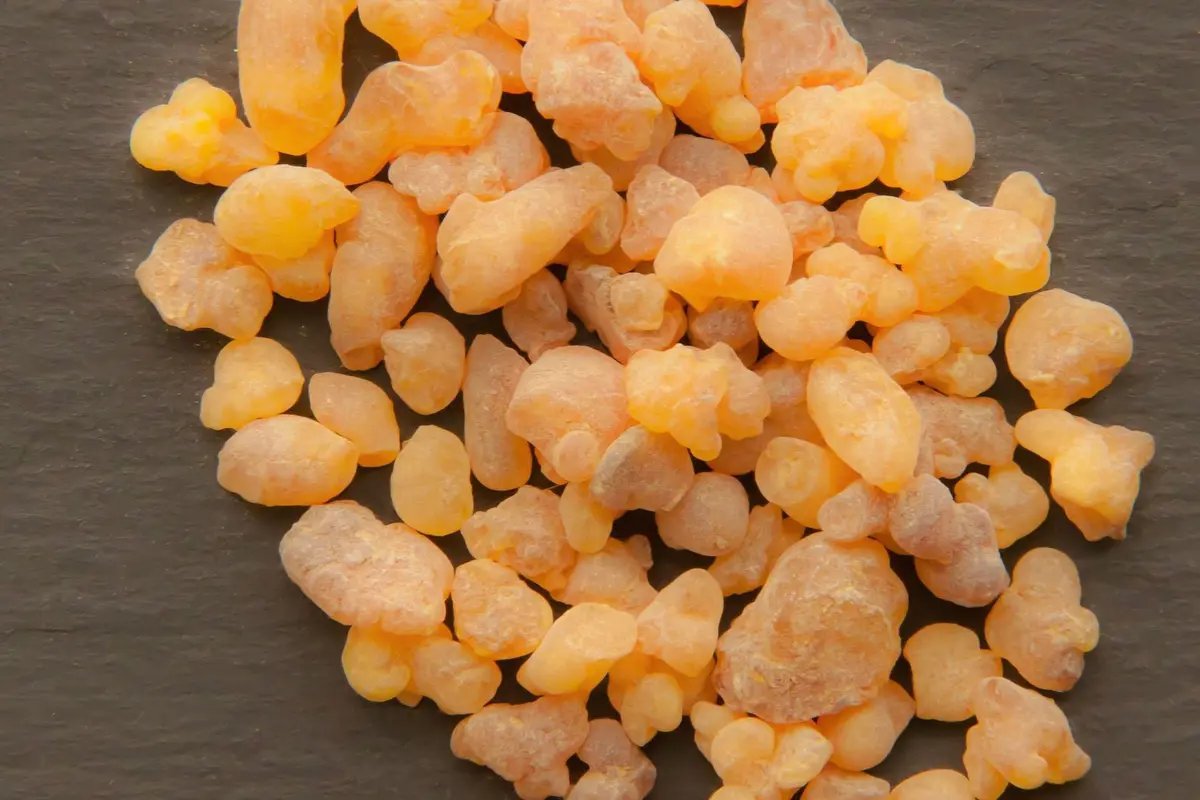ilustrasi Frankincense Essential Oil/pixabay