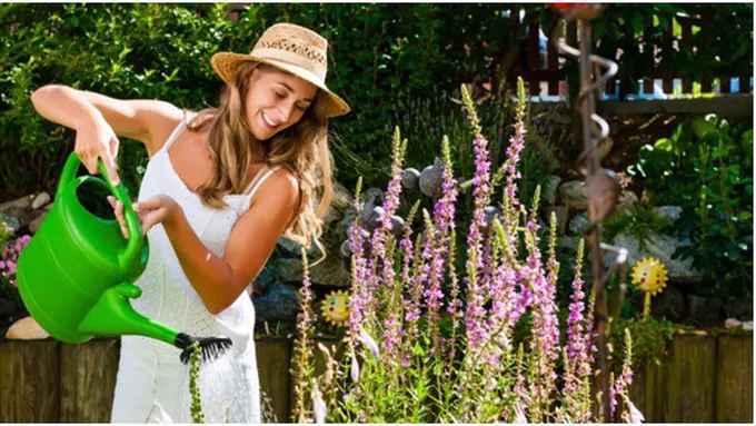 Photo: Copyright Thinkstockphotos.com