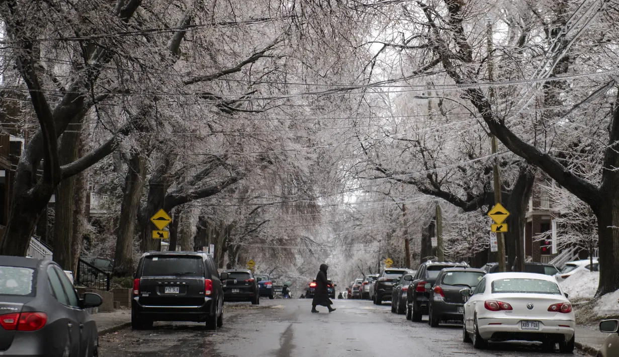<p>Seseorang menyeberang jalan saat es di atas dahan pohon terlihat setelah hujan es melanda sebagian Quebec dan Ontario di Montreal, Kanada, pada 5 April 2023. (AFP/Andrej Ivanov)</p>