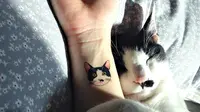 Meskipun tato dilarang secara hukum di Korea Selatan, namun hal tersebut tak menghentikan para penggemar tato untuk memiliki tato kucing.