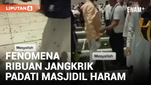 Masyaallah, Ribuan Jangkrik Padati Masjidil Haram