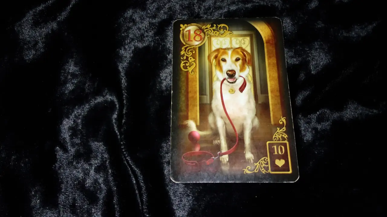 Tarot Hari Ini, Rabu, 5 Juni 2018 (Foto: Elisabet Kusumodewi)