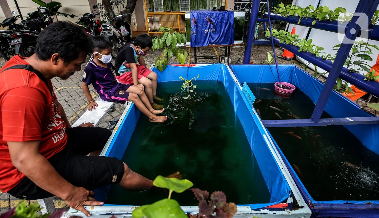 Anak-anak bermain di ruang edukasi anak di halaman Kantor Kelurahan Karet, Jakarta Selatan, Selasa (30/3/2021). Ruang terbuka yang berkonsep mini zoo ini memiliki sejumlah koleksi hewan peliharaan seperti kelinci, burung dan ikan hias. (Liputan6.com/Johan Tallo)