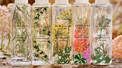 Jo malone lupin clearance patchouli